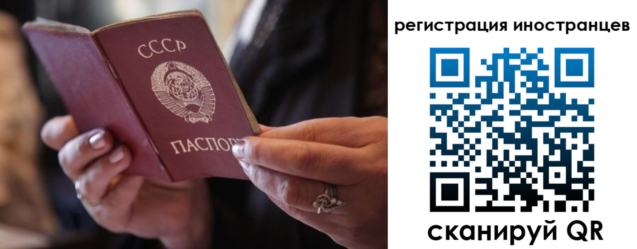 где прописаться в Боготоле